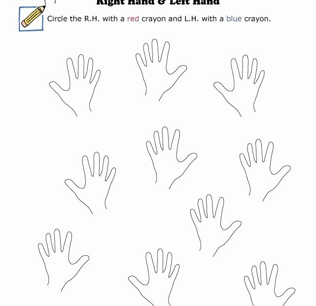 Hands On Equations Worksheet Awesome 17 Best Images About Hands On Pinterest