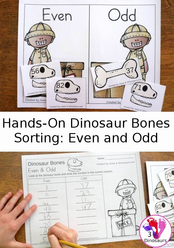 Hands On Equations Worksheet Fresh Free Hands Dinosaur Bones sorting even and Odd 16
