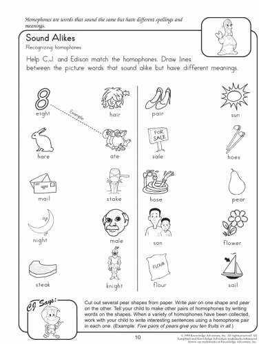 Homophones Worksheet 2nd Grade Beautiful Homophone Worksheets for 2nd Grade – Mreichert Kids Worksheets
