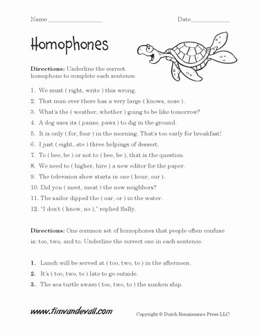 Homophones Worksheet 2nd Grade Best Of Homophones Worksheets