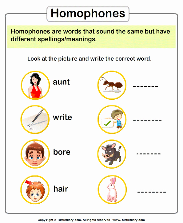Homophones Worksheet 2nd Grade Unique Homophone Of A Word Worksheet Turtle Diary