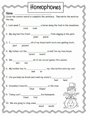 Homophones Worksheet 2nd Grade Unique Smiling and Shining In Second Grade Homophone Anchor