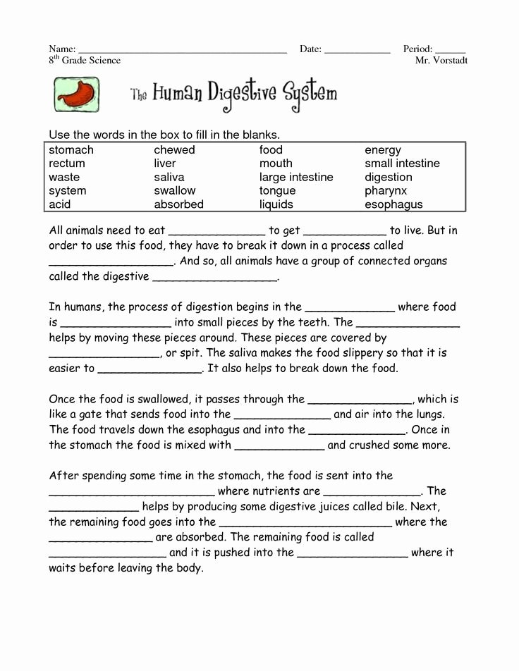 Human Digestive System Worksheet Unique Digestive System Multiple Choice Questions Middle School