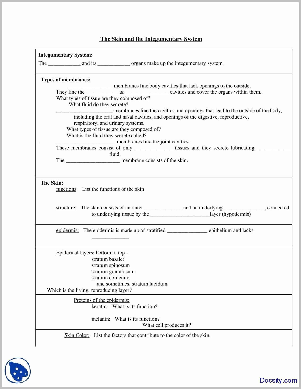 Icivics the Constitution Worksheet Answers Best Of Icivics Bill Rights Worksheet