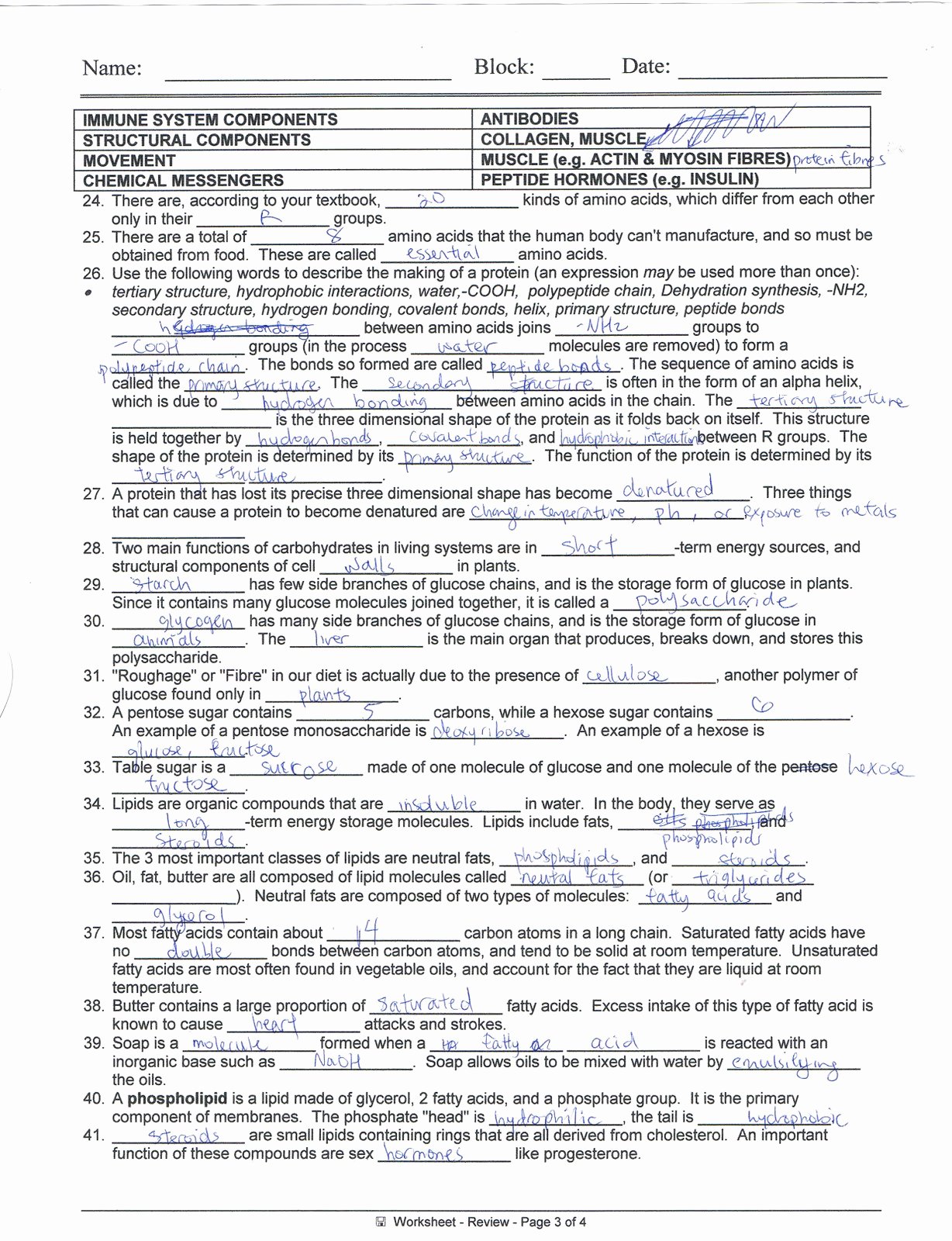 50 Identifying Variables Worksheet Answers