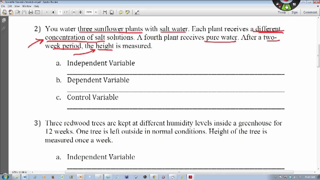 Identifying Variables Worksheet Answers New 52 Identifying Independent and Dependent Variables
