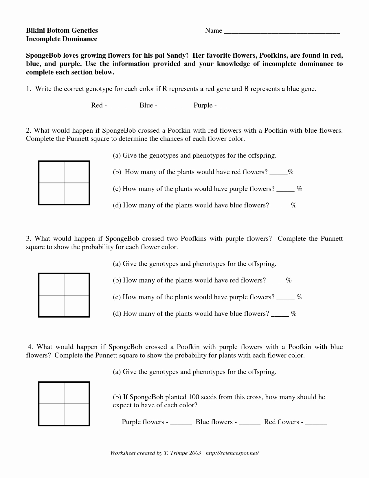 Incomplete and Codominance Worksheet Awesome 16 Best Of In Plete and Codominance Worksheet