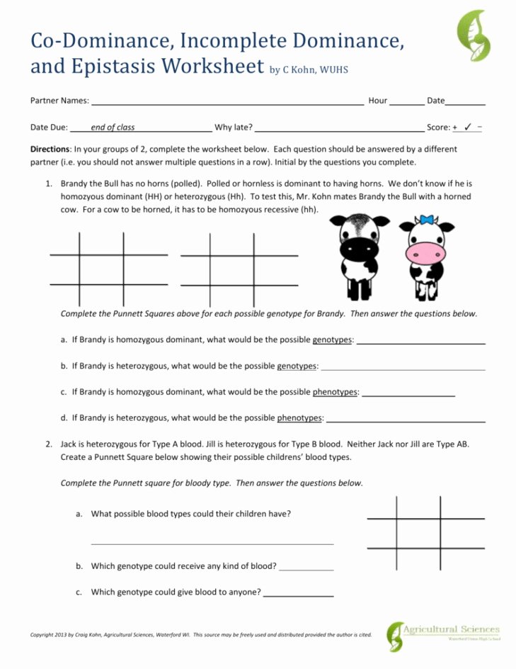 Incomplete and Codominance Worksheet Beautiful In Plete and Codominance Worksheet