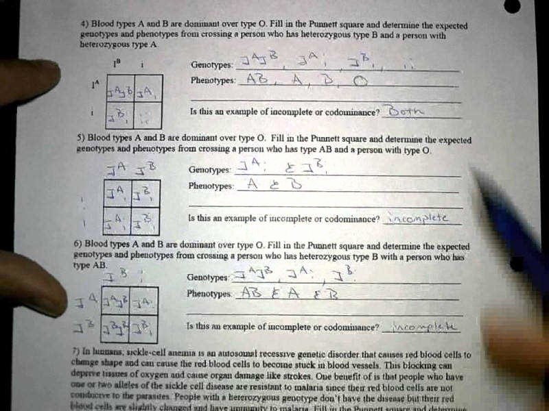 Incomplete and Codominance Worksheet Best Of In Plete and Codominance Worksheet Answers