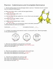 Incomplete and Codominance Worksheet Inspirational Codominance and In Plete Dominance Practice Name Date