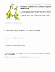Incomplete and Codominance Worksheet Inspirational Codominance and In Plete Dominance Practice Name Date