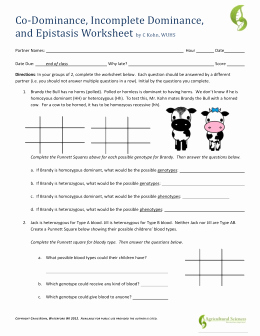Incomplete and Codominance Worksheet New Codominance and In Plete Dominance Worksheet the Best