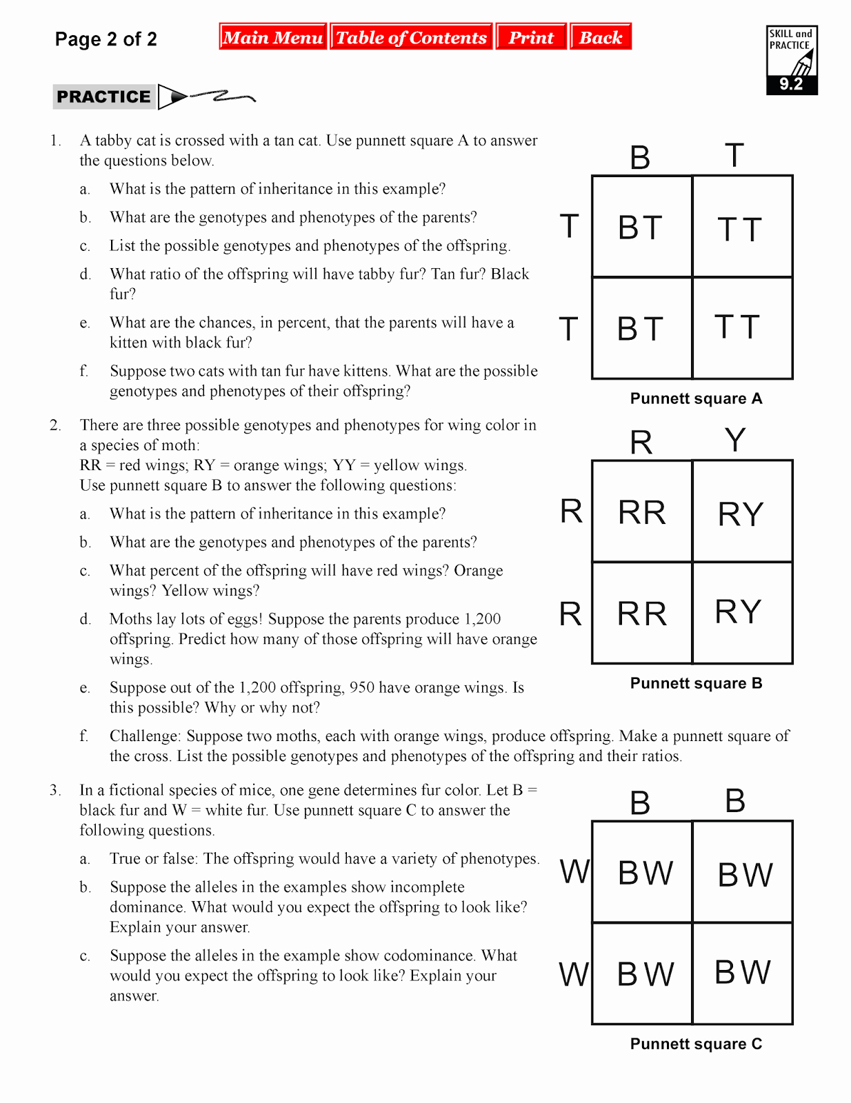 Incomplete and Codominance Worksheet Unique Codominance and In Plete Dominance Worksheet the Best