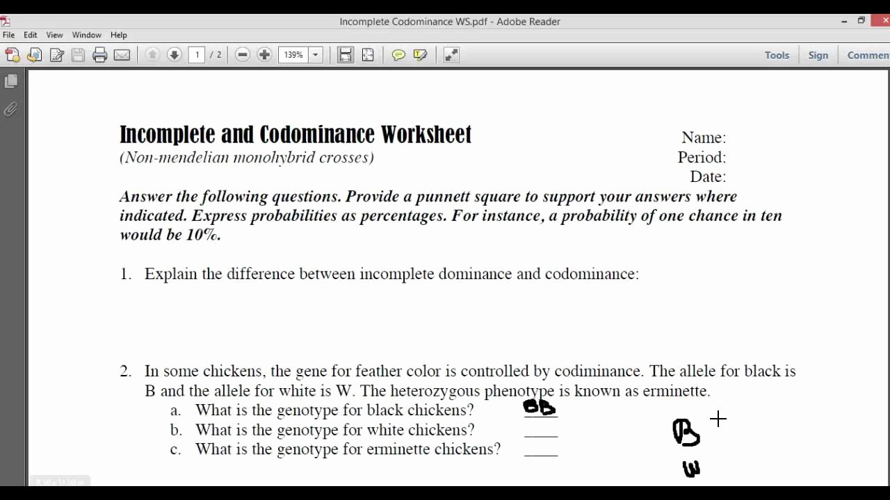 Incomplete and Codominance Worksheet Unique In Plete and Codominace Worksheet Part1