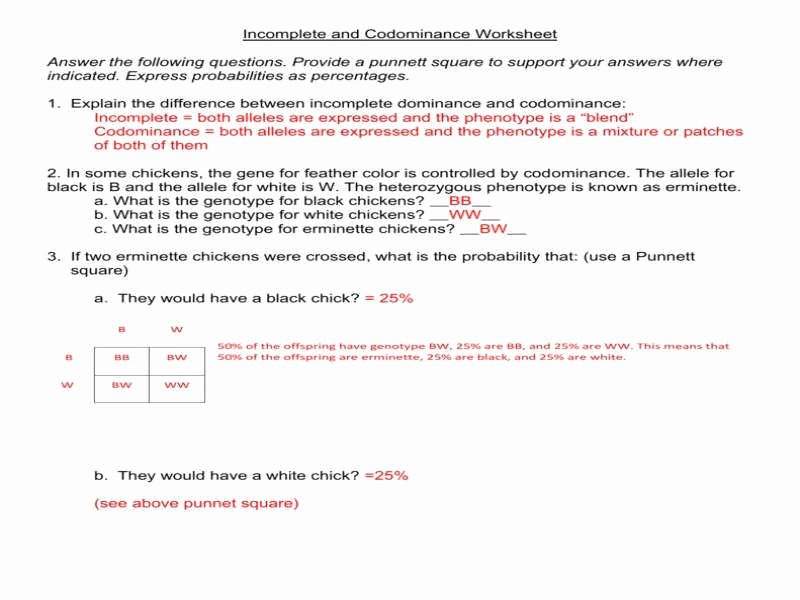 Incomplete and Codominance Worksheet Unique In Plete and Codominance Worksheet Answers