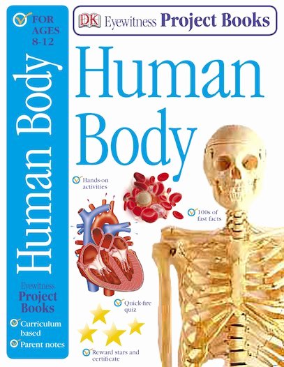 Incredible Human Machine Worksheet Luxury Eyewitness Human Body Project Book Scholastic Kids Club