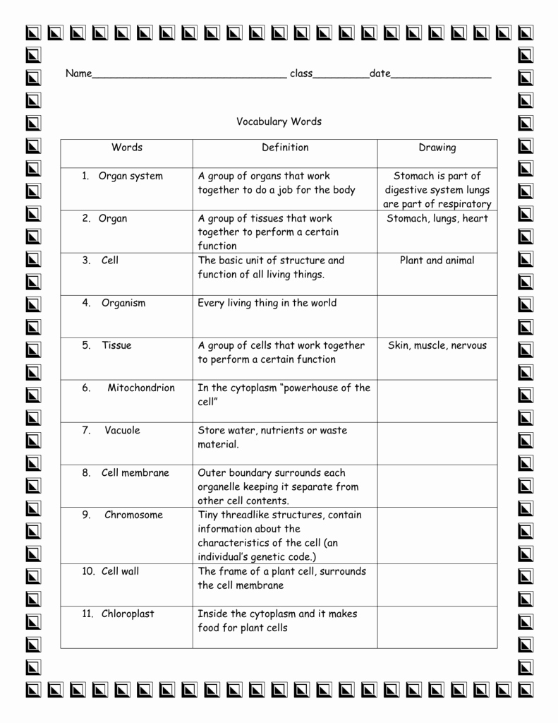 Inside the Living Body Worksheet Best Of Answer Key Cells Vocabulary Graphic organizer