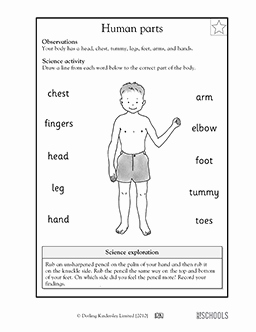 Inside the Living Body Worksheet Best Of Pin On Kids Education &amp; Homeschool