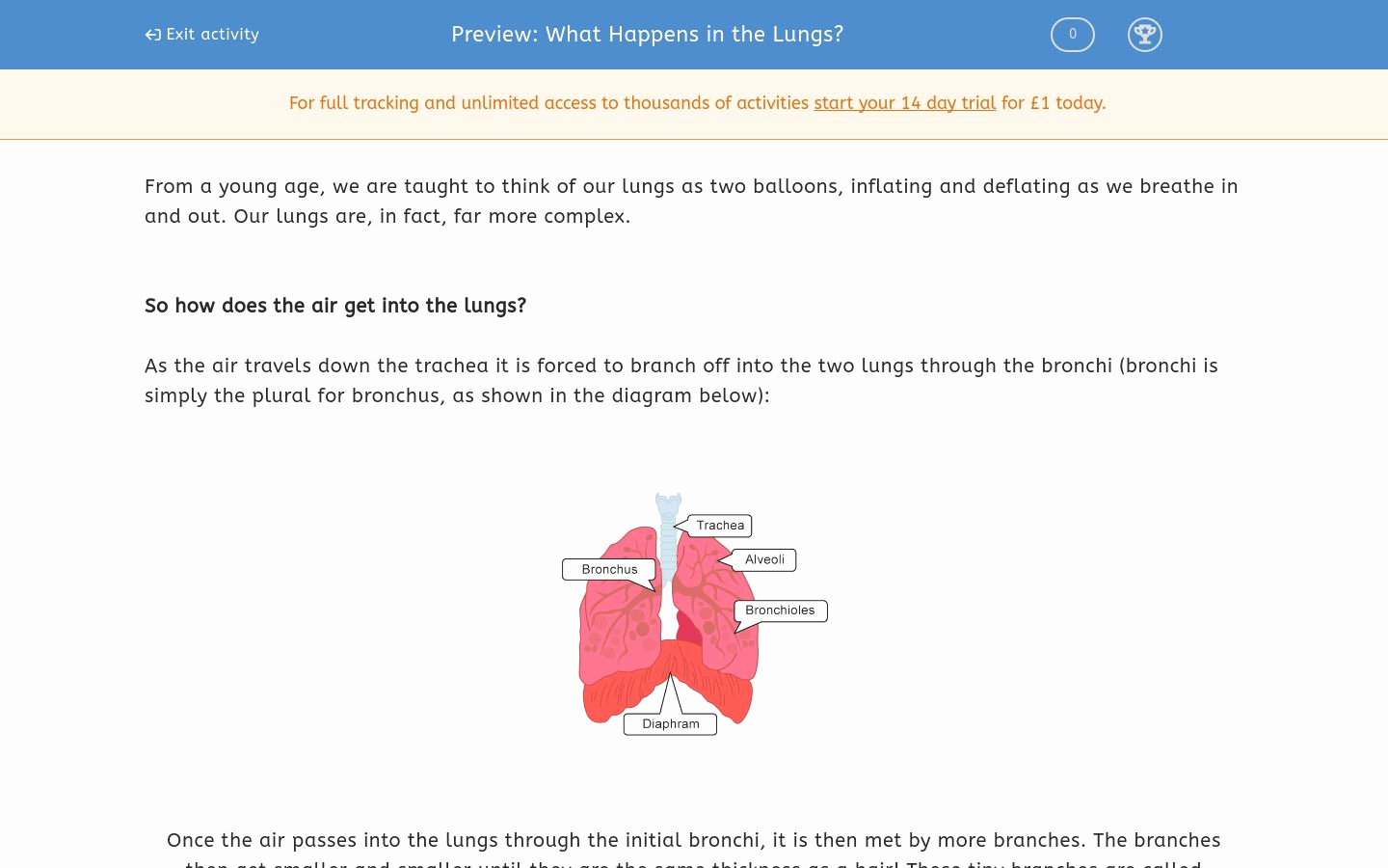 Inside the Living Body Worksheet Lovely What Happens In the Lungs Worksheet Edplace