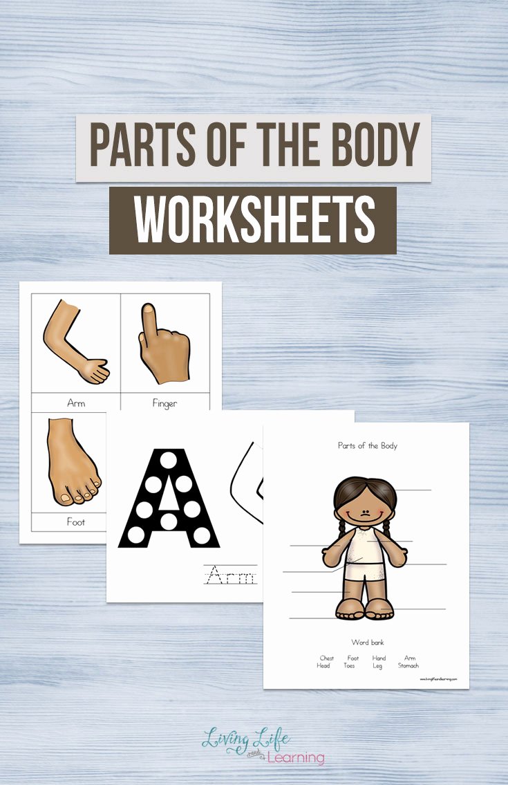 Inside the Living Body Worksheet Luxury Parts Of the Body Worksheets for Kids Homeschool Giveaways