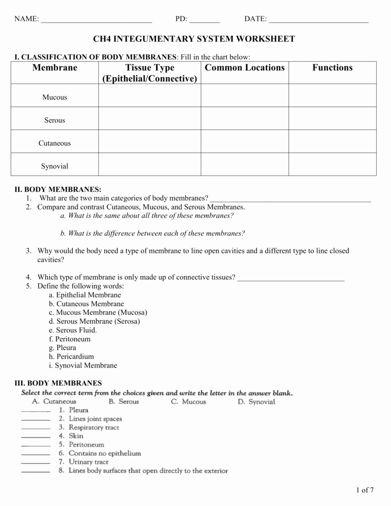  Integumentary System Worksheet Answers 