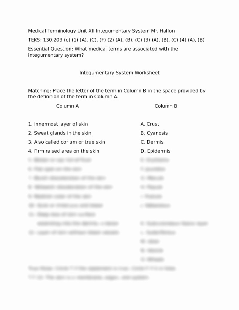 Integumentary System Worksheet Answers Awesome Worksheet Integumentary System Worksheets Worksheet Fun