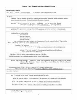 Integumentary System Worksheet Answers Beautiful 1 Integumentary System Worksheet Key Concept the