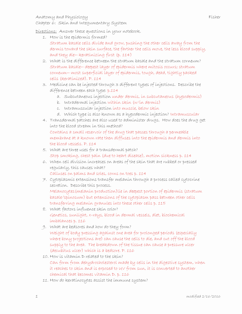 50 Integumentary System Worksheet Answers