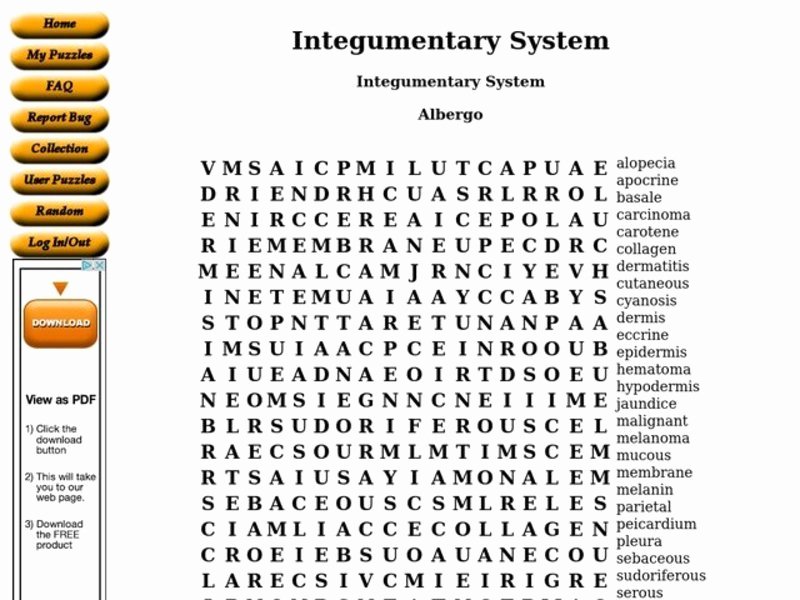 Integumentary System Worksheet Answers Elegant Integumentary System Worksheet for 12th Higher Ed