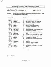 Integumentary System Worksheet Answers Lovely Murrah High School Course Hero