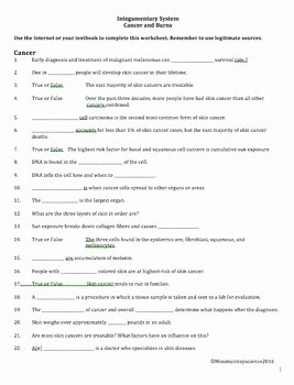 Integumentary System Worksheet Answers Luxury Integumentary System Worksheet Cancer and Burns by