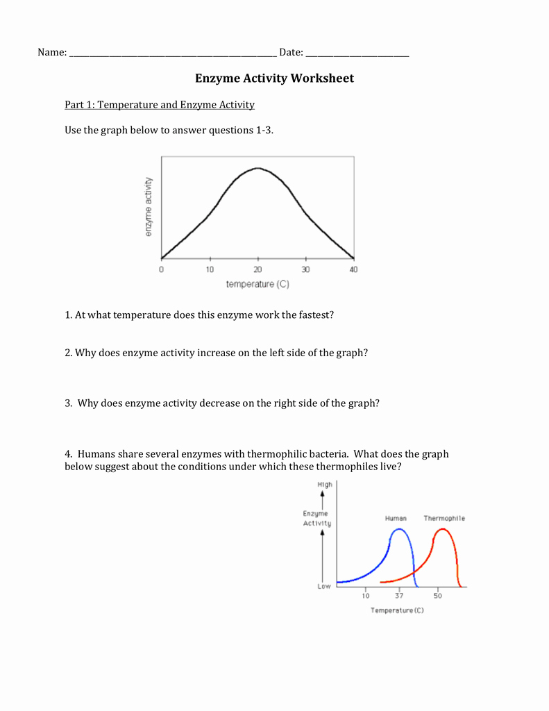 Interpreting Graphs Worksheet Answers Unique Interpreting Enzyme Graphs Worksheet