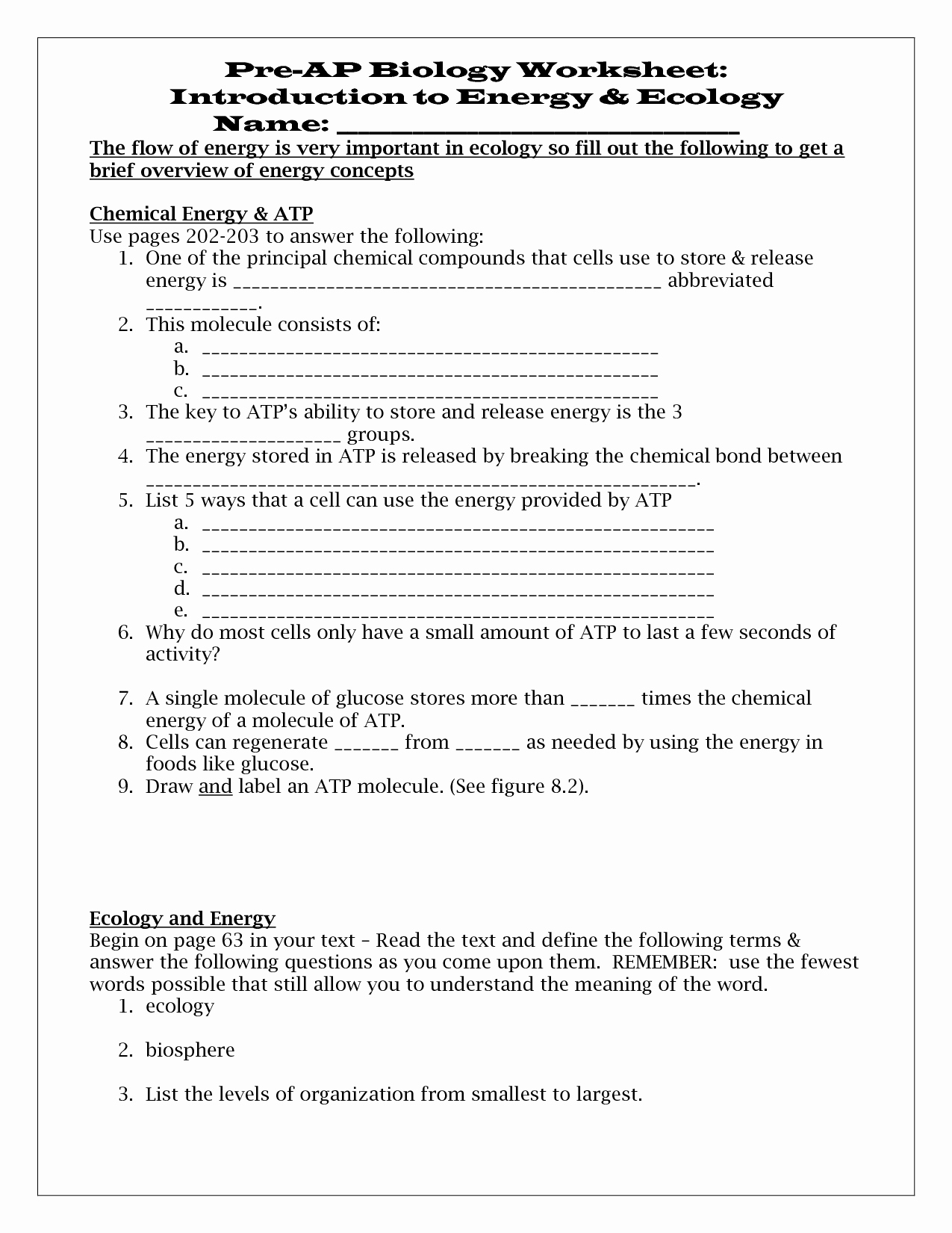 Introduction to Energy Worksheet Awesome 10 Best Of Energy Flow Worksheets Food Web Energy