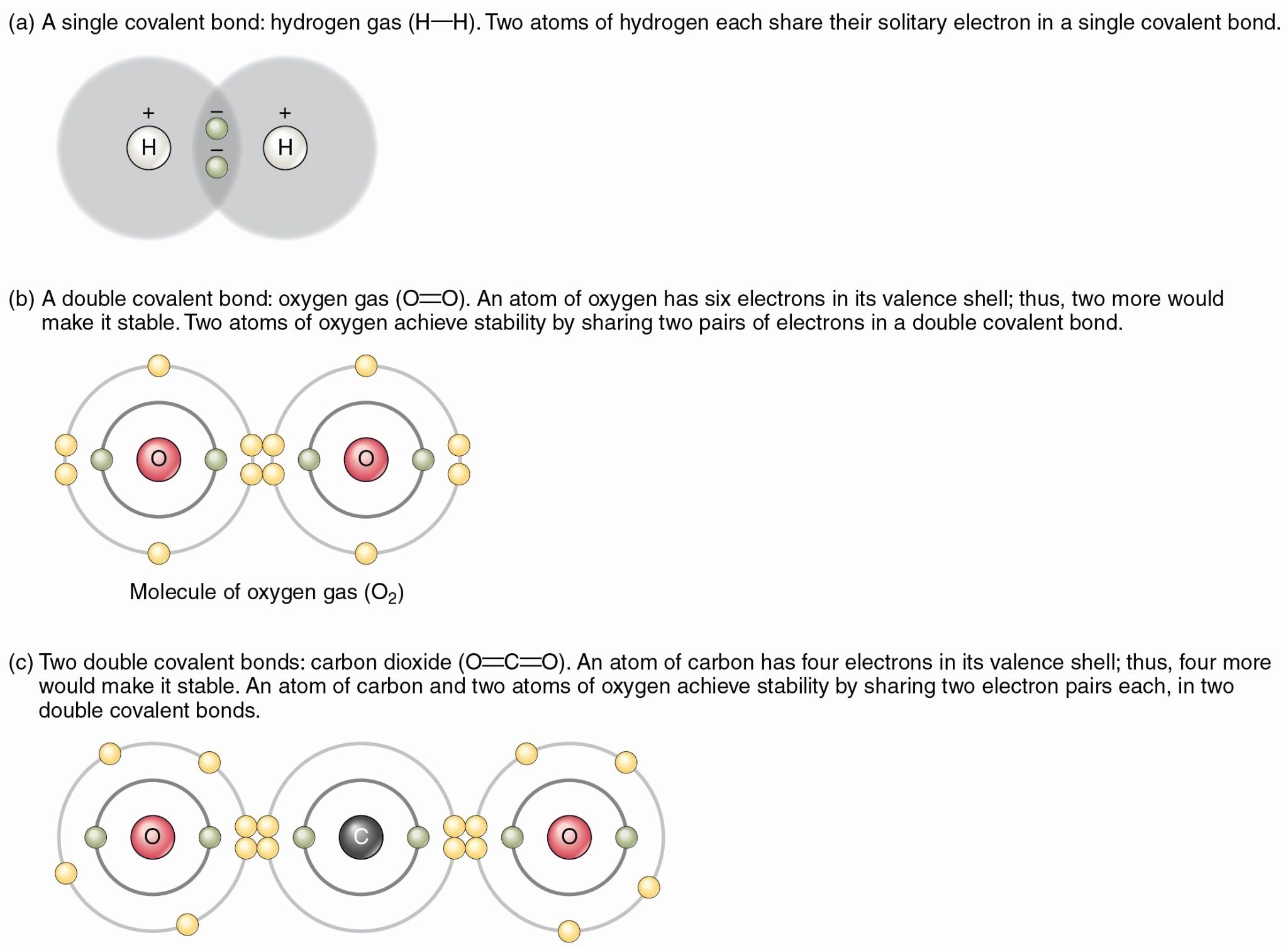 Ionic Bonding Worksheet Answer Key New Ionic and Covalent Bonding Worksheet Answer Key