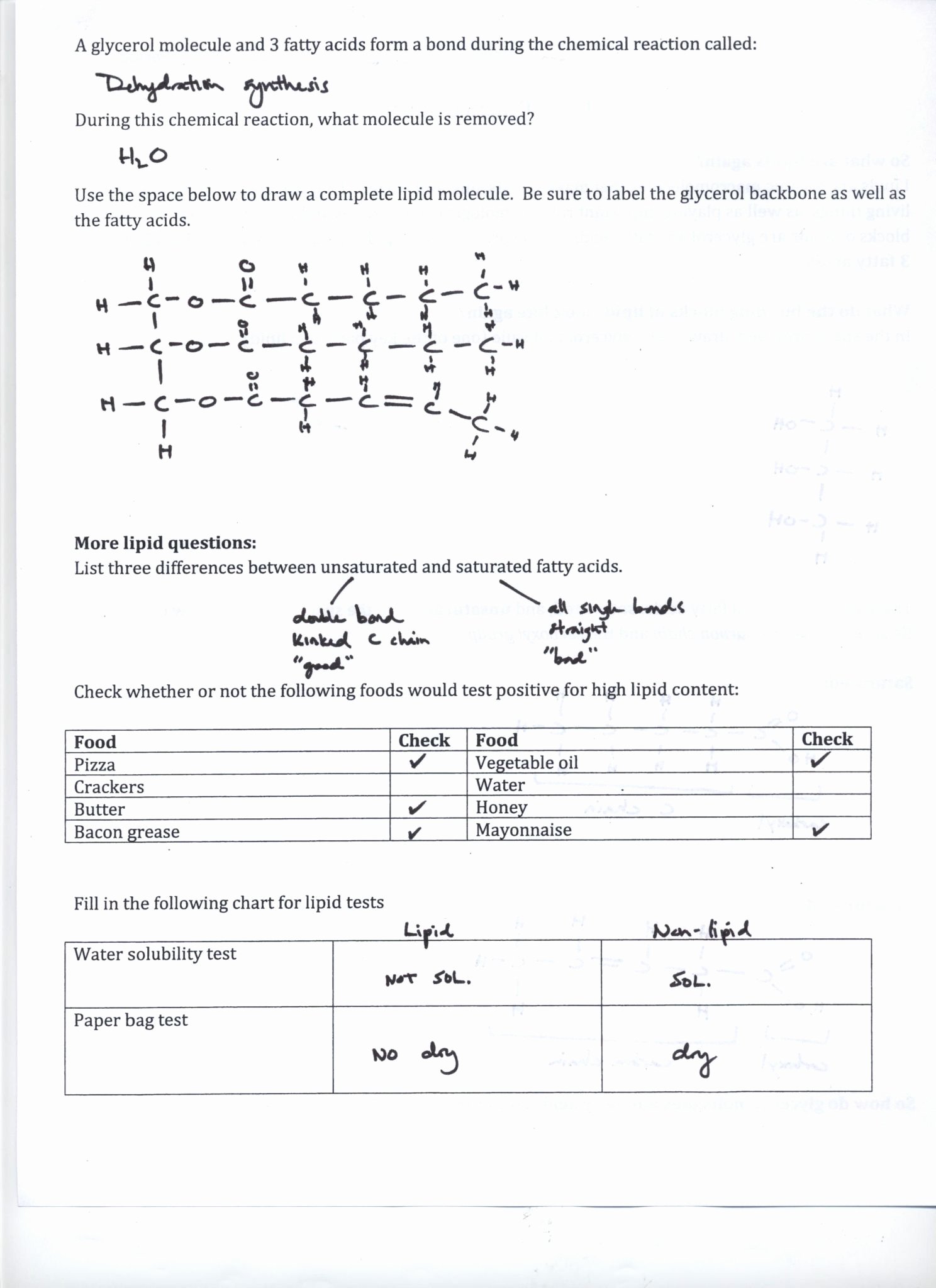 50 isotopes Ions and atoms Worksheet | Chessmuseum Template Library