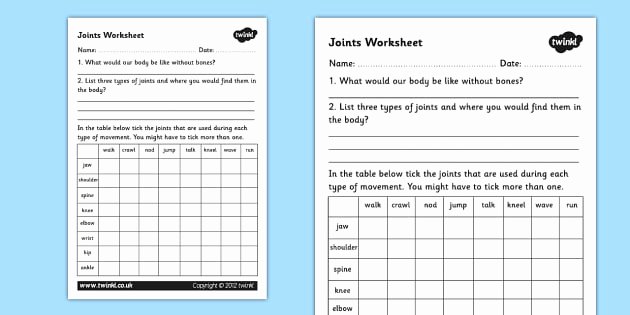 Joints and Movement Worksheet Awesome Joints Worksheet Joints the Human Body Movement Muscles