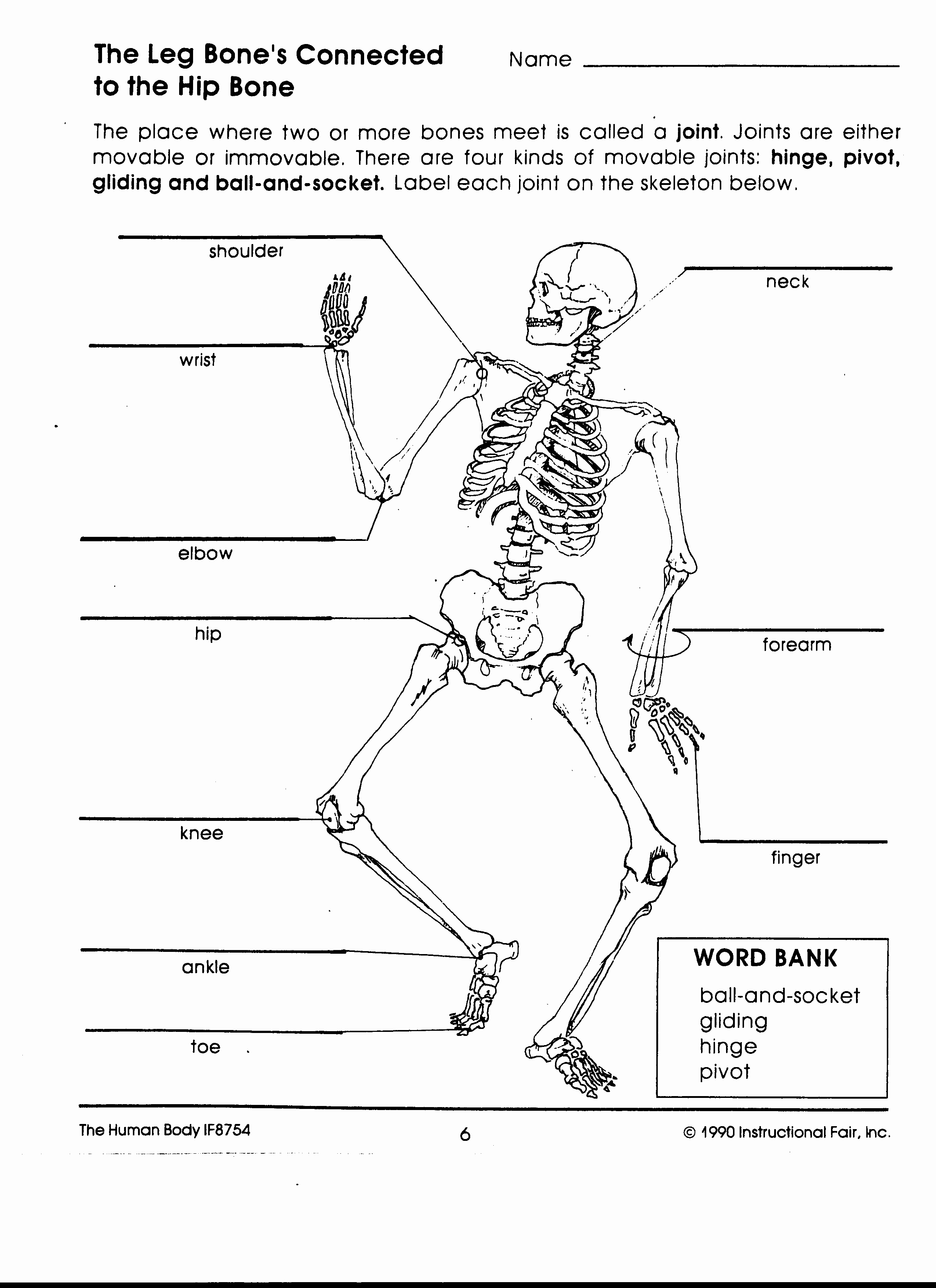 Joints and Movement Worksheet Best Of Human Body Interactions Mrs O Earth Science