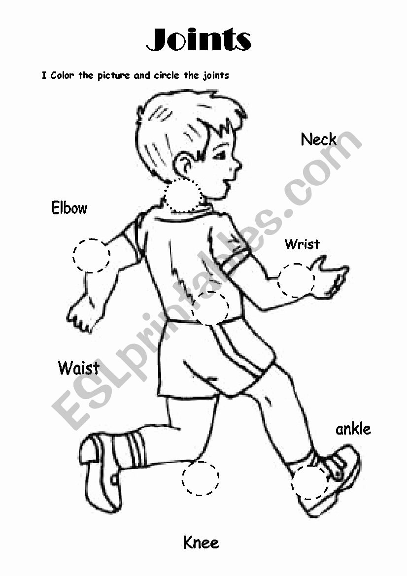 50 Joints And Movement Worksheet