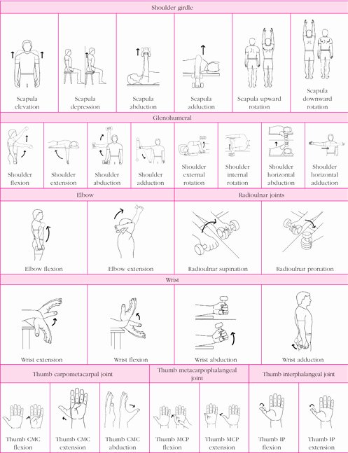Joints and Movement Worksheet Luxury Untitled Page [hper Servers Txstate]