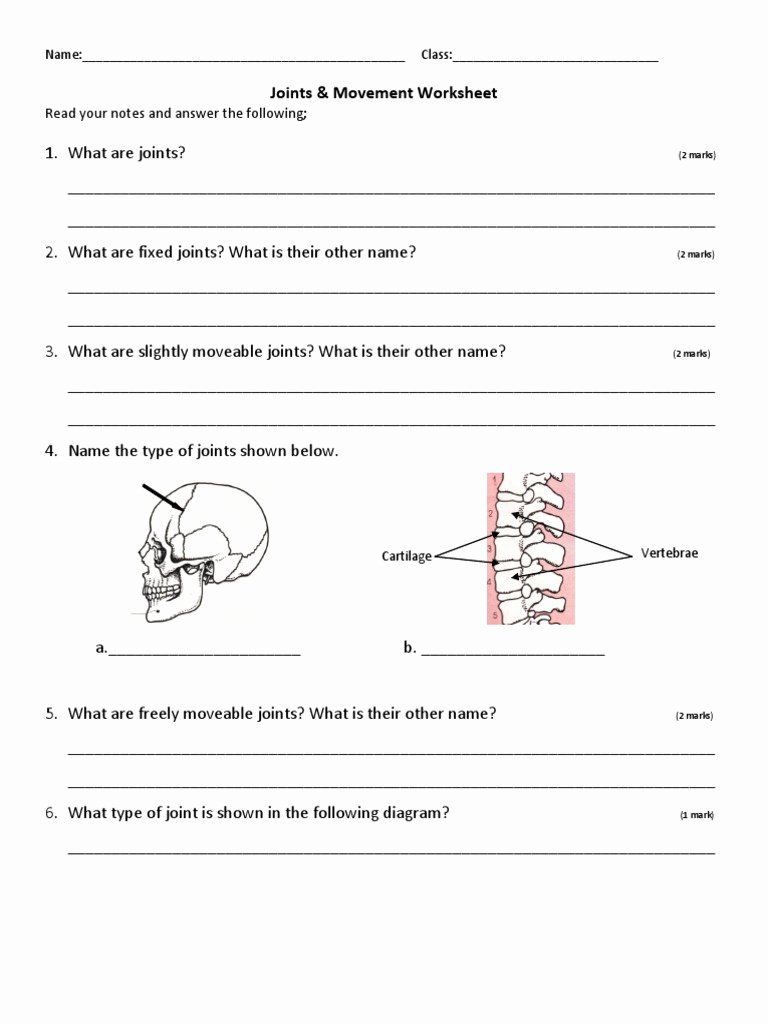 Joints and Movement Worksheet Luxury Worksheet Joints and Movement Worksheet Worksheet Fun