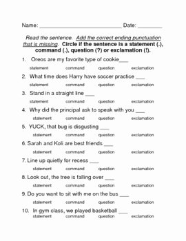 Kinds Of Sentences Worksheet Lovely Types Of Sentences Worksheet by Brooke Beverly