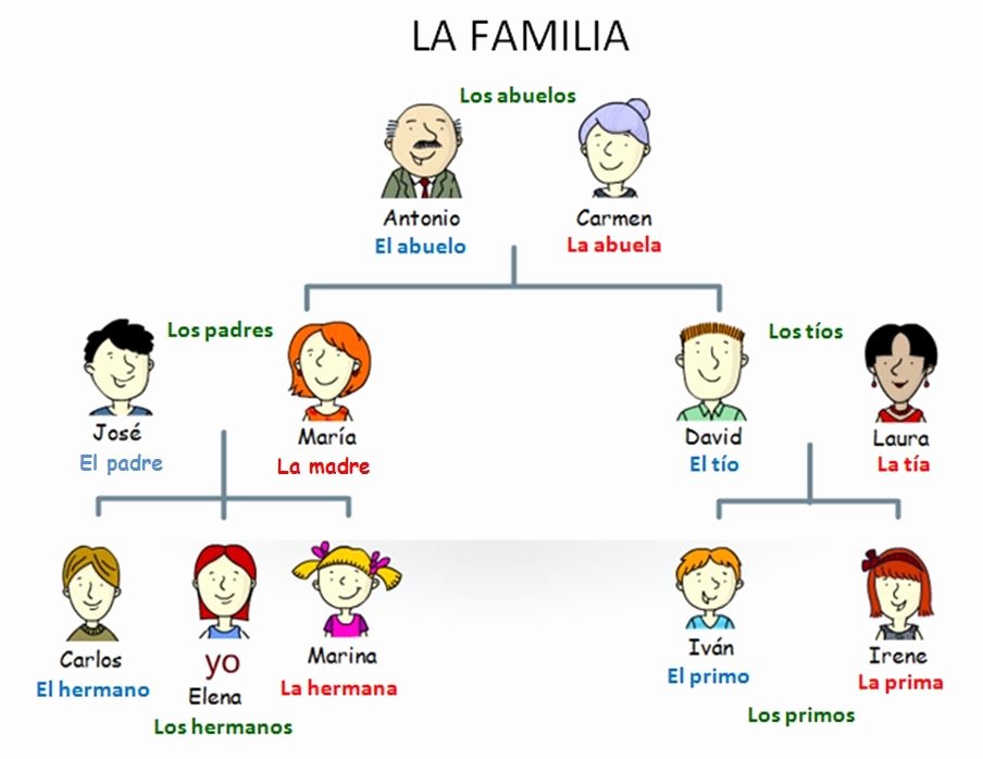 La Familia Worksheet In Spanish Beautiful La Familia Espagnol Español Pinterest