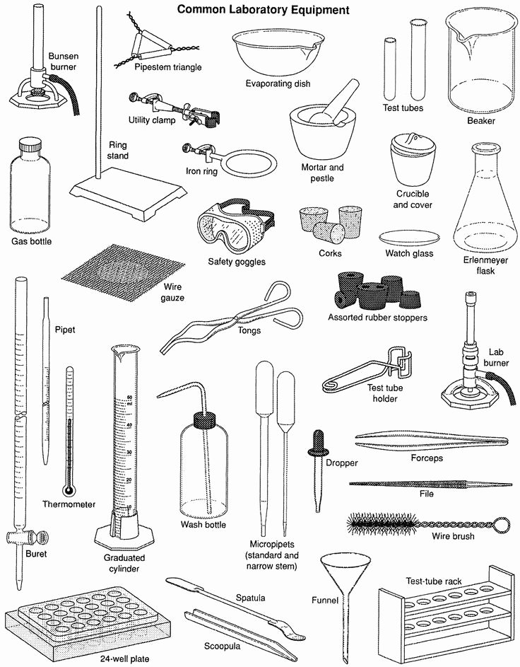 Lab Equipment Activity Answer Key