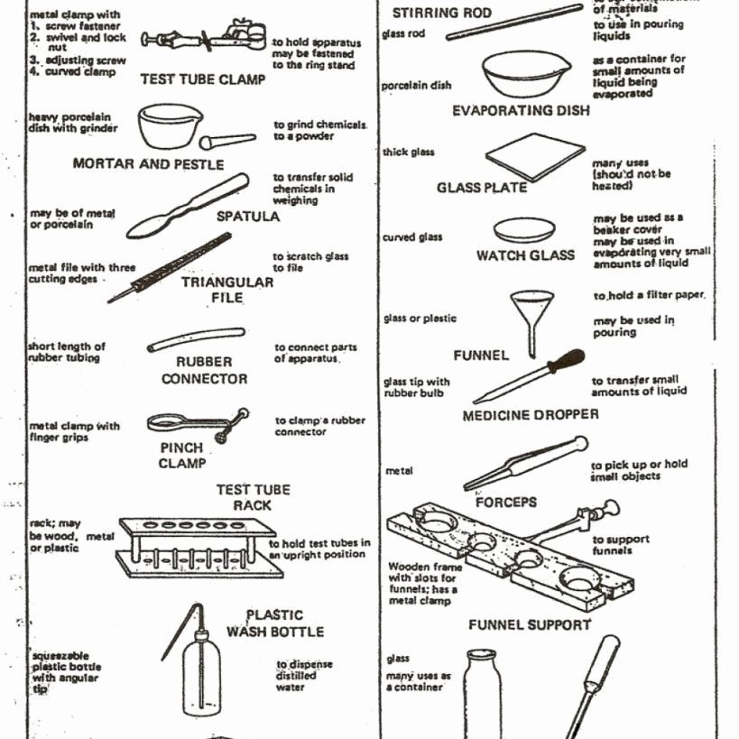 Lab Equipment Worksheet Answers