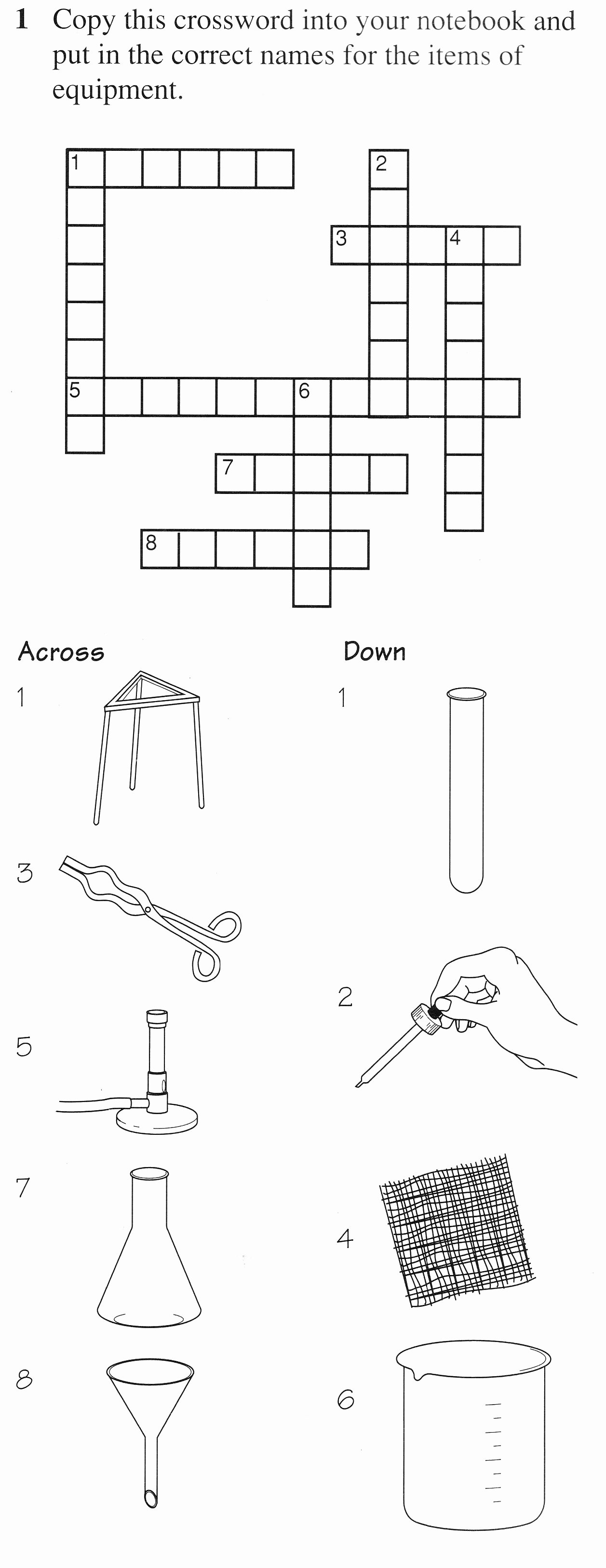 50 Lab Equipment Worksheet Answer Key Chessmuseum Template Library
