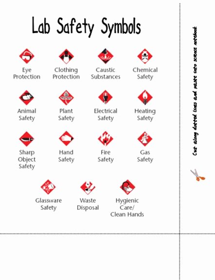 Lab Safety Symbols Worksheet Awesome Here S A Page Identifying Lab Safety Symbols