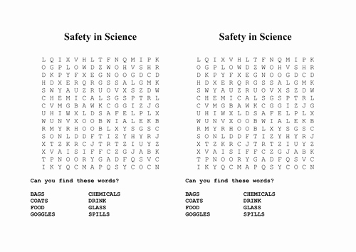 Lab Safety Worksheet Answer Key New Lab Safety Wordsearch by Anon4603