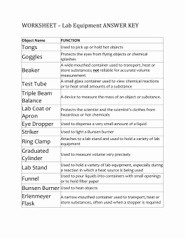 Lab Safety Worksheet Answers Best Of Worksheet – Lab Equipment