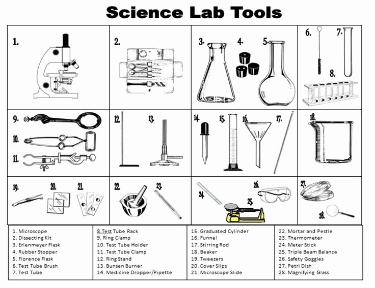 50 Lab Safety Worksheet Answers