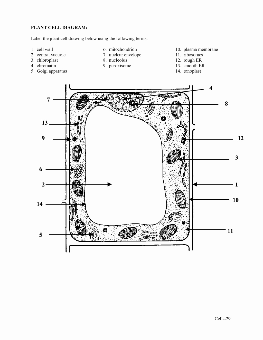 Label Plant Cell Worksheet Luxury Label Plant Cell Worksheet 4 Biological Science Picture